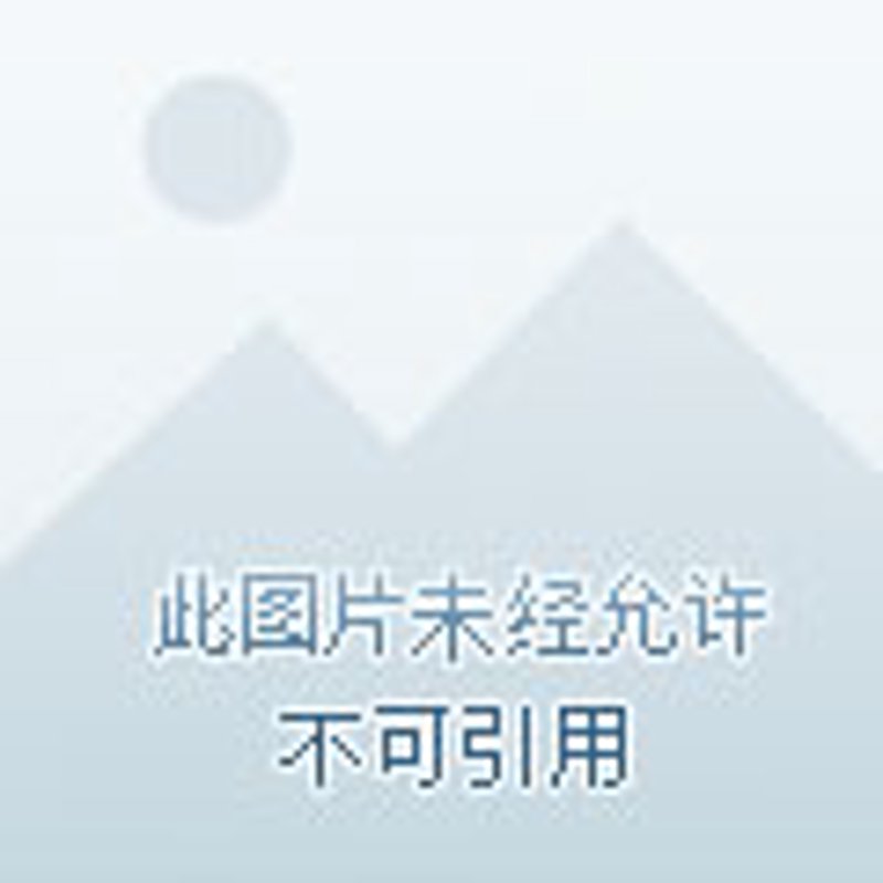 厦门软件开发行业动态：机遇与挑战并存